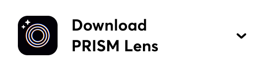 Download PRISM Cam
