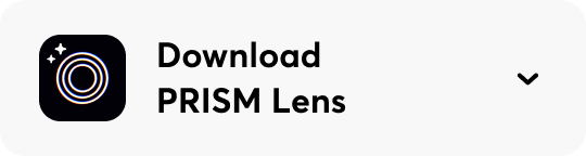 Download PRISM Cam